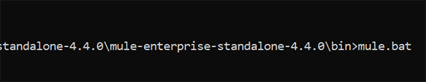 Run the command ‘mule.bat’ in the command prompt