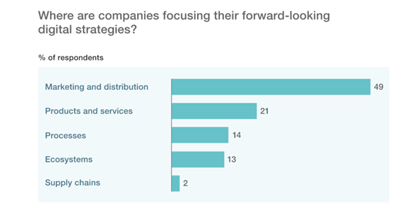 Web digital survey indicates the focus of digital strategies