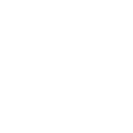 insurance-specific-bi-implementation