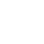  Mule Runtime Engine - Mule 4